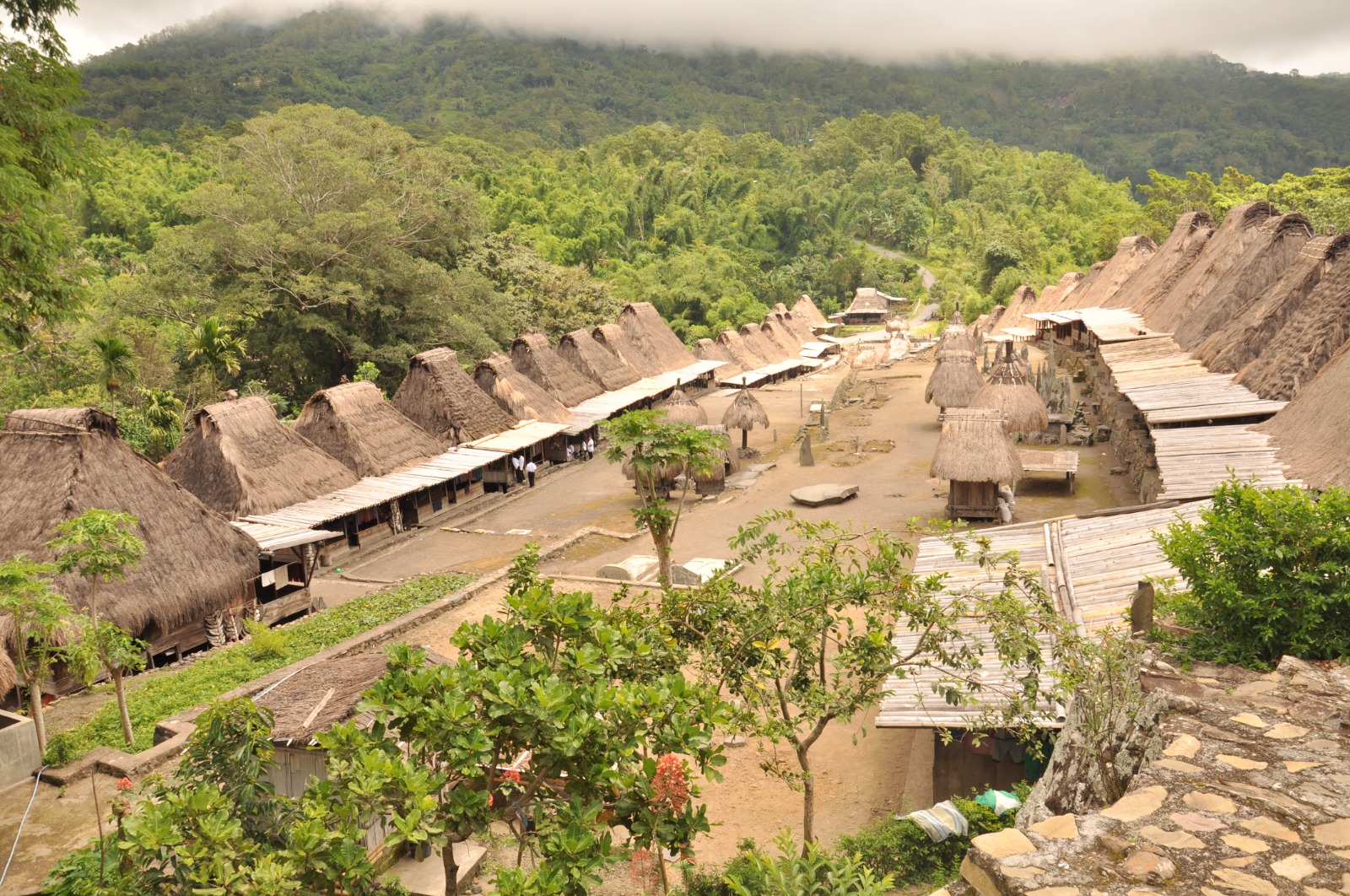 Explore and Discover Flores - Lamalera whaling village in Lembata Island Tours (9D/8N)